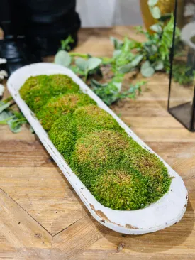 20” Moss Small Bread Bowl