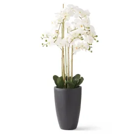 49.5 Inch White Real Touch Phalaenopsis Orchid In Matte Black Ceramic pot 17129A