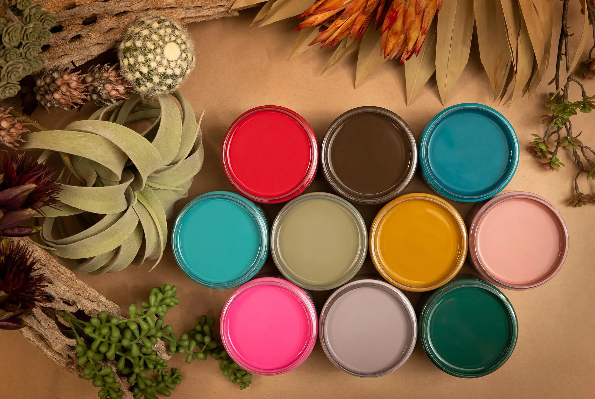 Cactus - Silk Collection - Dixie Belle Paint Company